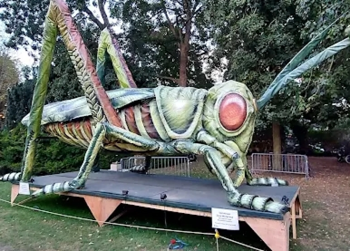 Young Researchers (8+)